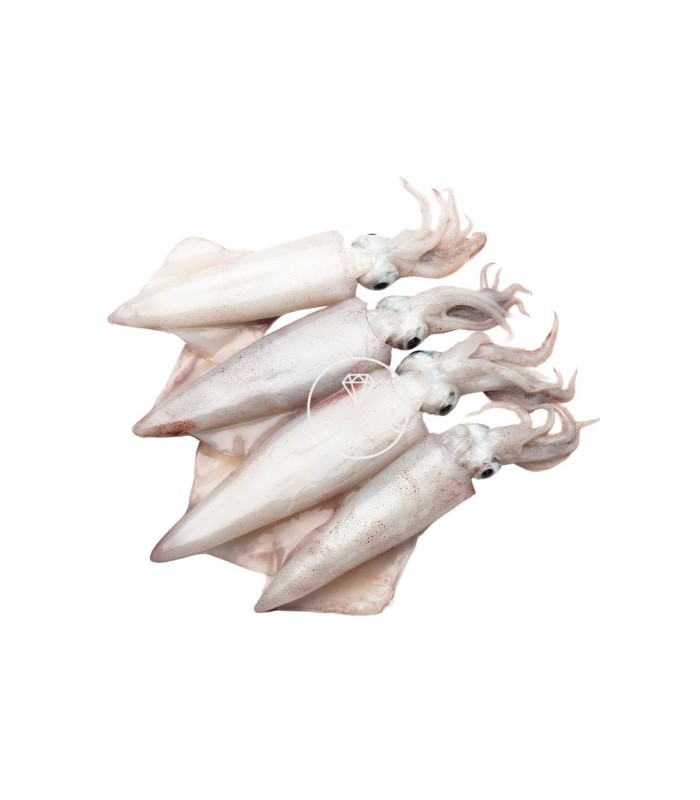 Comprar maganos online | Pescadería online