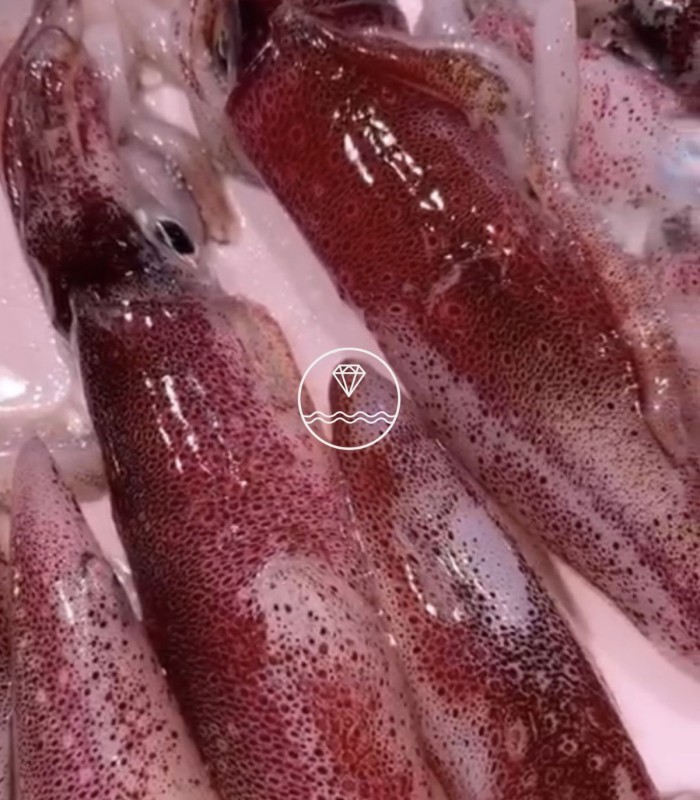 Maganos (mayo-septiembre)