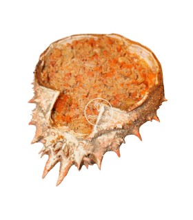 Txangurro elaborado de forma tradicional | Comprar txangurro online