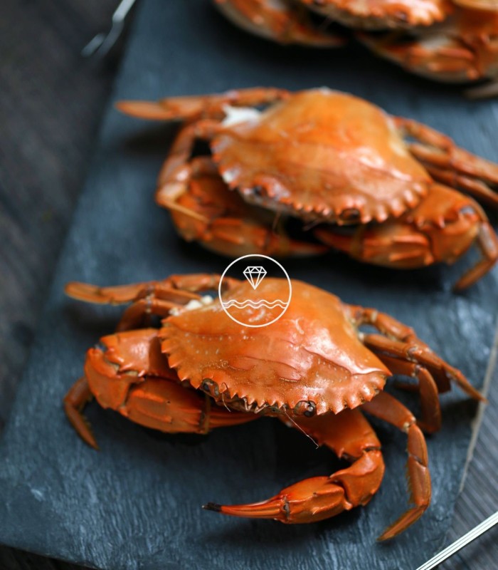 Nécoras de la Mariscada Brisa del Mar de Mariscos Anamar