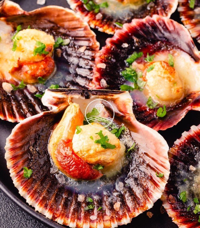 Sugerencia de presentación de las zamburiñas de la Mariscada Sabor Marítimo de Mariscos Anamar