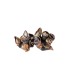 comprar percebes online | percebe mediano | percebe gallego