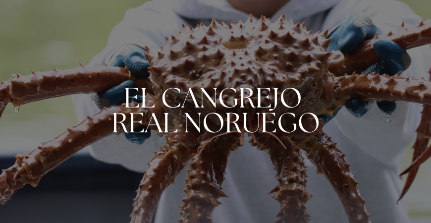El Cangrejo Real Noruego: Un Manjar de las Frías Aguas del Ártico