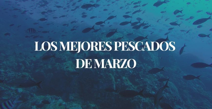 Los mejores pescados de temporada en marzo: frescura y sabor en su mejor momento