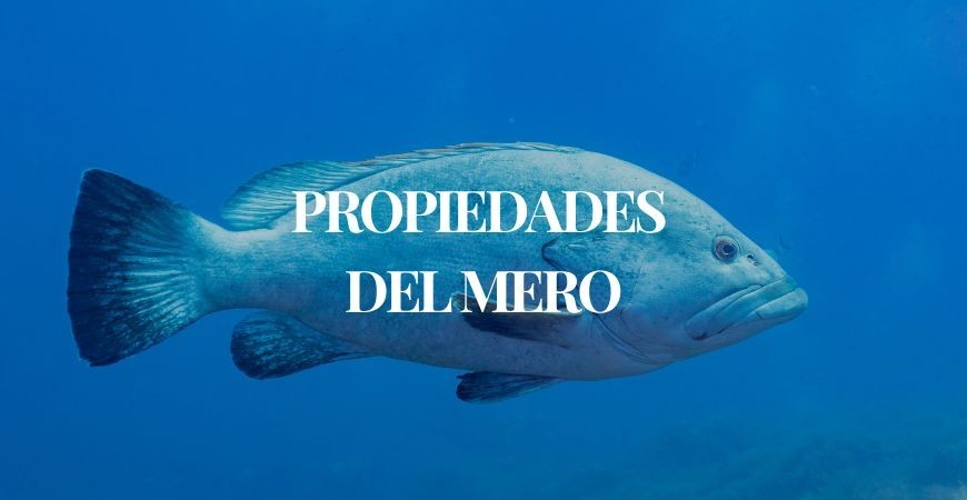 Mero: Propiedades, beneficios y las mejores Formas de Cocinarlo