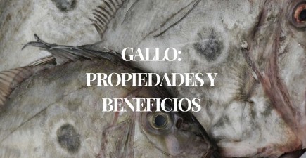 El pez gallo: propiedades, beneficios y todo lo que debes saber sobre este tesoro del mar
