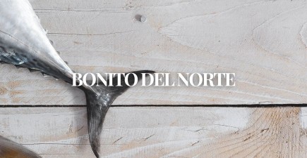 Todo sobre el Bonito del Norte y la costera 2025