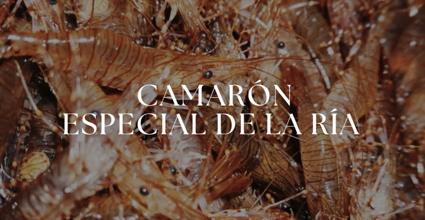 Camarón Especial de la Ría