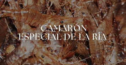 Camarón Especial de la Ría